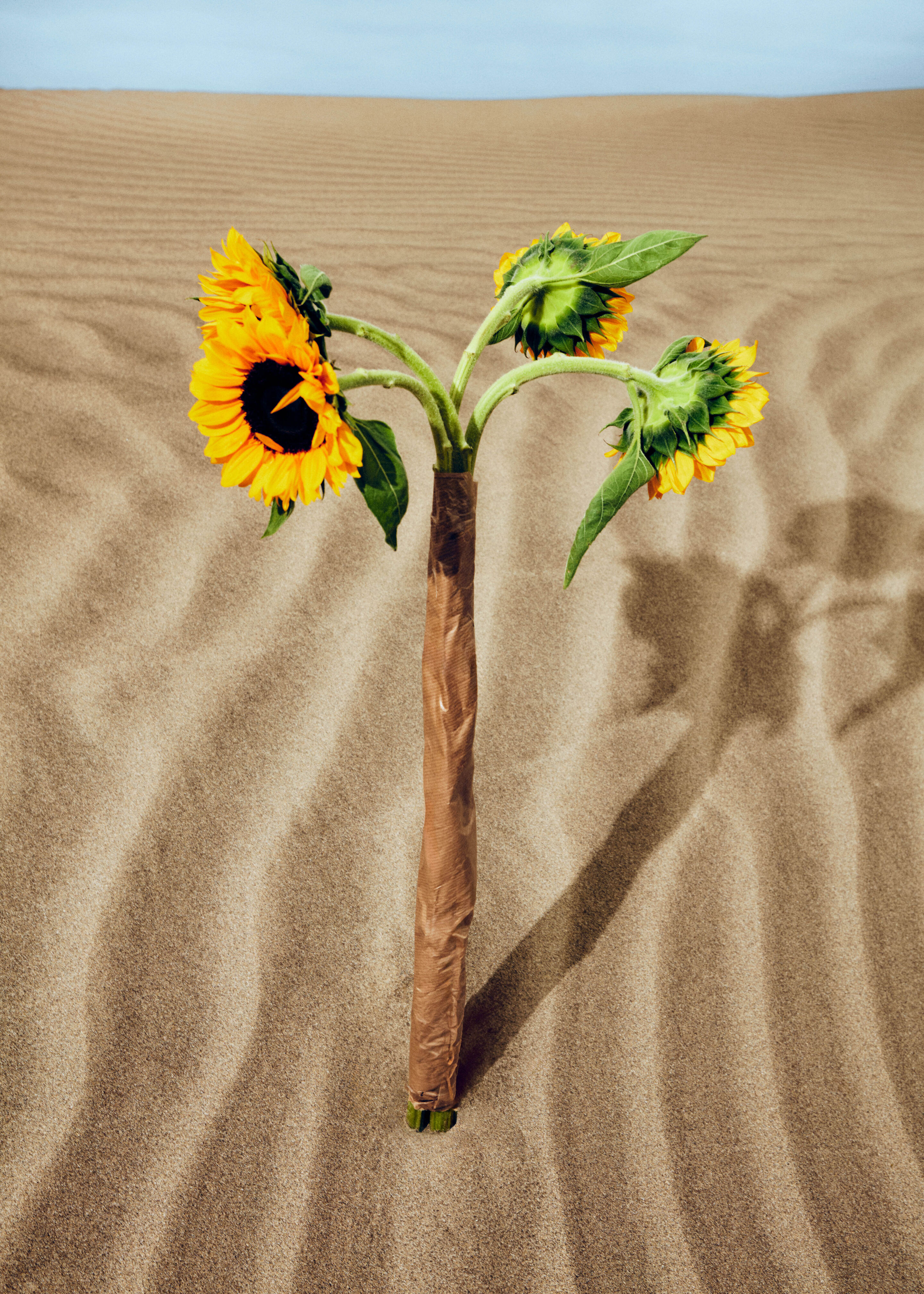 Kenzo Kinderlook für Mädchen und Jungen: geblümte Outfits mit Sonnenblumenmuster, farbenfrohe Premium- und Luxusmode bei Kidsaround