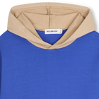 Kapuzenpullover BILLIEBLUSH 
                    BOY