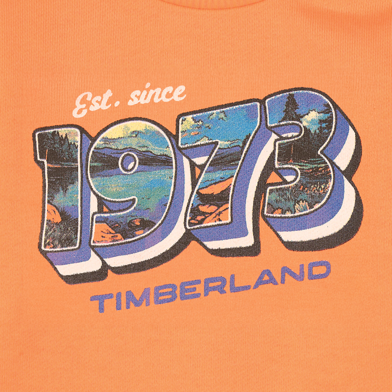 FLEECE-SWEATSHIRT TIMBERLAND 
                        BOY