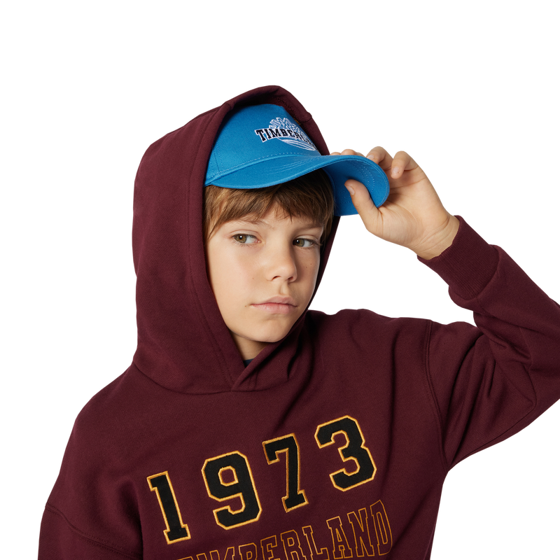 Sweatshirt mit K&auml;ngurutasche TIMBERLAND 
                        BOY
