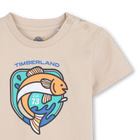 Kurz&auml;rmeliges t-shirt TIMBERLAND 
                    BOY