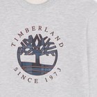 Sweatshirt aus Molton TIMBERLAND 
                    BOY