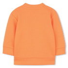 Fleece-sweatshirt TIMBERLAND 
                    BOY