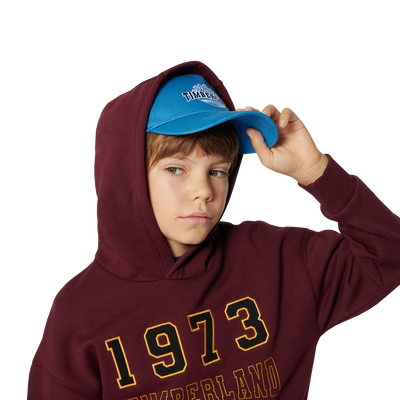 Sweatshirt mit K&auml;ngurutasche TIMBERLAND BOY
