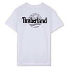 Kurz&auml;rmeliges t-shirt TIMBERLAND 
                    BOY