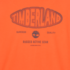 Lang&auml;rmeliges T-Shirt aus Jersey TIMBERLAND 
                    BOY
