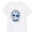 Kurzarm-Shirt TIMBERLAND 
                    BOY