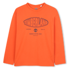 Lang&auml;rmeliges T-Shirt aus Jersey, TIGERLILIE, hi-res