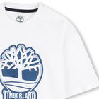 Zweifarbiges T-Shirt mit Logo TIMBERLAND 
                    BOY
