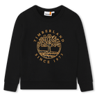 Sweatshirt aus Molton TIMBERLAND 
                    BOY