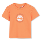 Kurz&auml;rmeliges t-shirt TIMBERLAND 
                    BOY