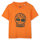 Kurzarm-Shirt TIMBERLAND 
                    BOY