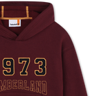 Sweatshirt mit K&auml;ngurutasche TIMBERLAND 
                    BOY
