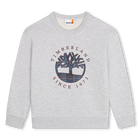 Sweatshirt aus Molton TIMBERLAND 
                    BOY