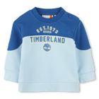 Sweatshirt TIMBERLAND 
                    BOY