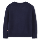Strickpullover BILLIEBLUSH 
                    GIRL