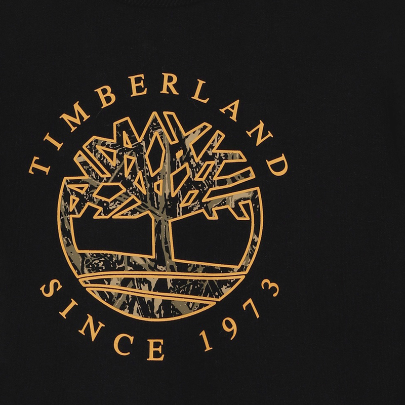 Sweatshirt aus Molton TIMBERLAND 
                        BOY