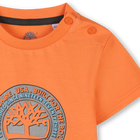 Kurzarm-Shirt TIMBERLAND 
                    BOY