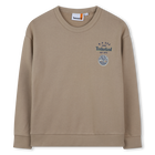 Sweatshirt TIMBERLAND 
                    BOY