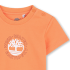 Kurz&auml;rmeliges t-shirt TIMBERLAND 
                    BOY