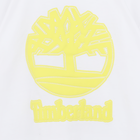 T-Shirt aus Jersey TIMBERLAND 
                    BOY