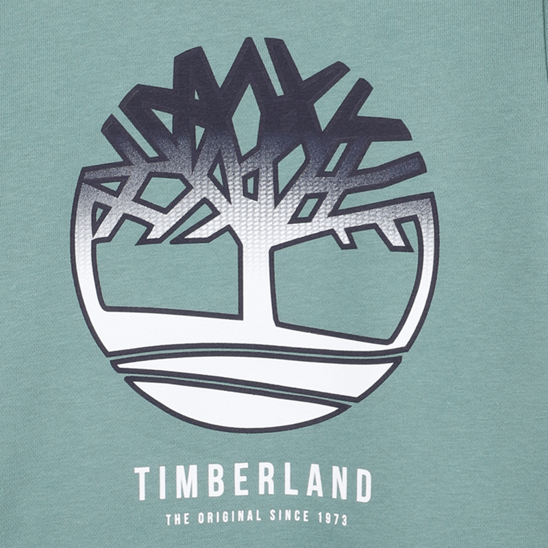 KAPUZENSWEAT TIMBERLAND 
                        BOY