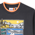 Fleece-sweatshirt TIMBERLAND 
                    BOY