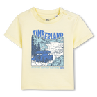Kurz&auml;rmeliges t-shirt TIMBERLAND 
                    BOY