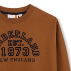 Sweat TIMBERLAND 
                    BOY