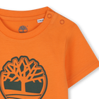 Kurzarm-Shirt TIMBERLAND 
                    BOY